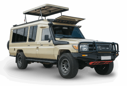 Safari-Car 4x4 wheel drive safari landcruiser