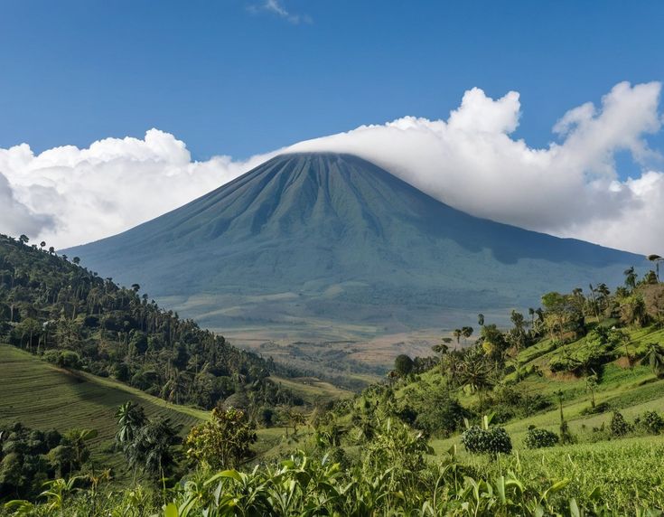 Virungaranges in Volcanoes National Park