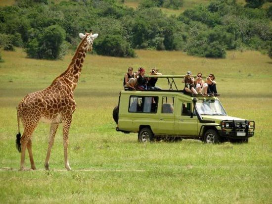 A family taking part in a gamedrive in Akagera National park